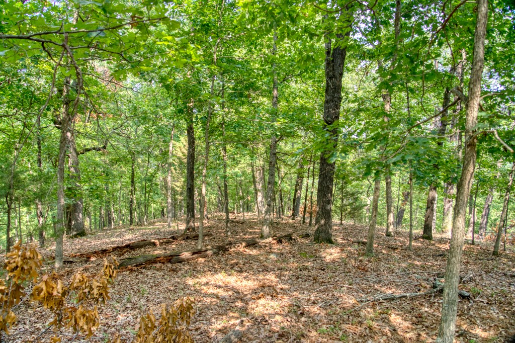 Big Clifty Shores Unit ` - Residential