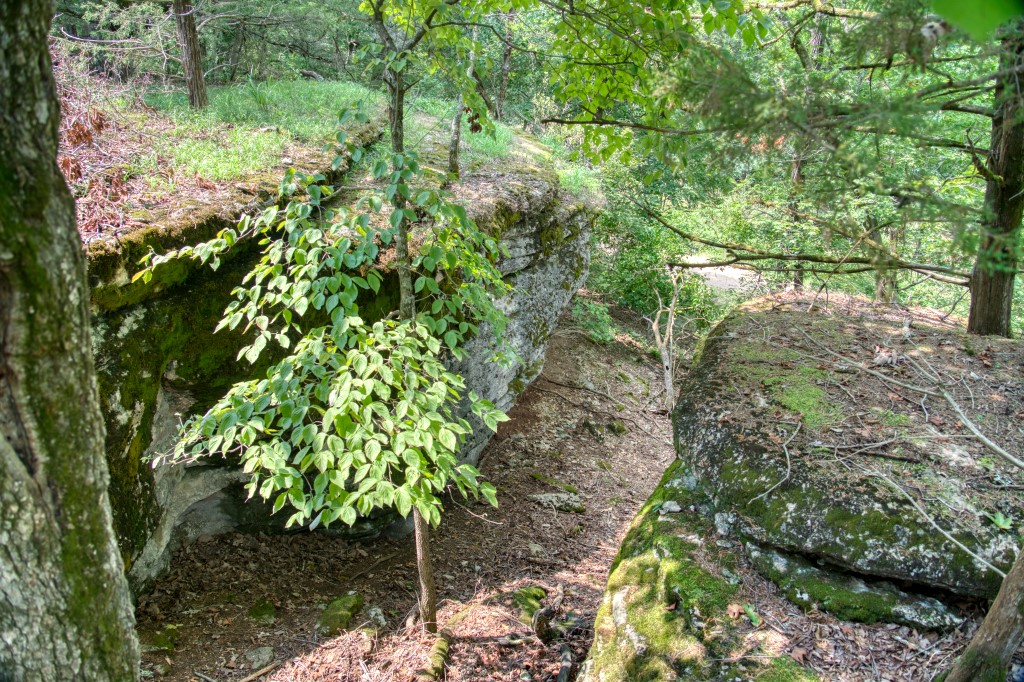 Big Clifty Shores Unit ` - Residential