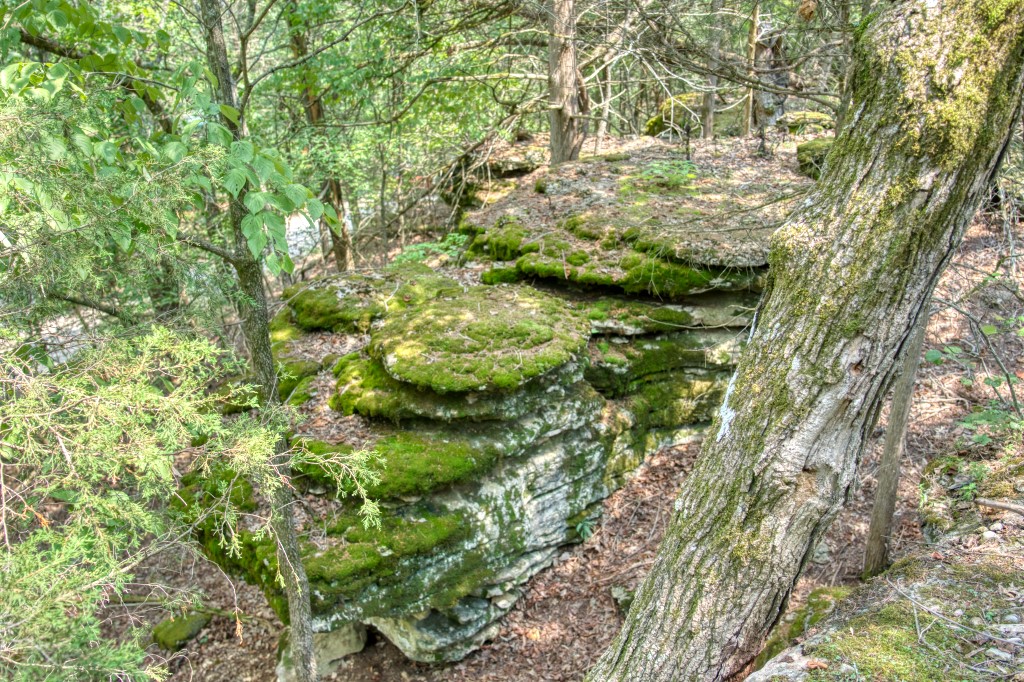 Big Clifty Shores Unit ` - Residential