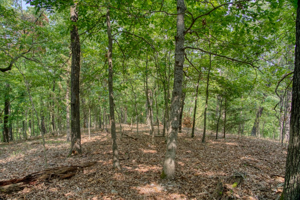 Big Clifty Shores Unit ` - Residential