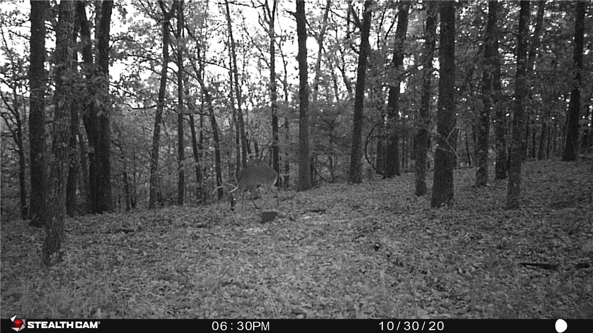 22-17-24 - Residential