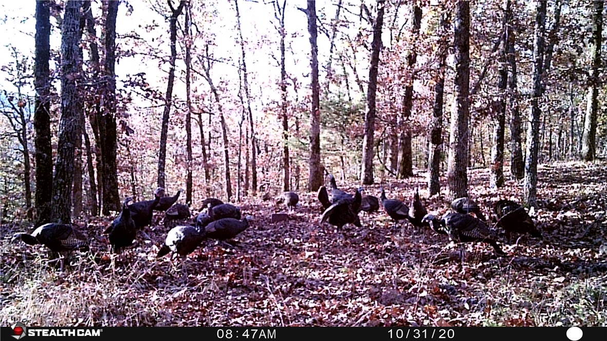 22-17-24 - Residential