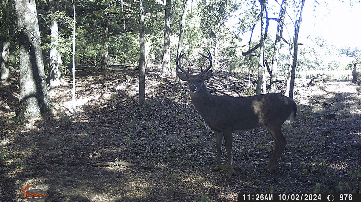 22-17-24 - Residential