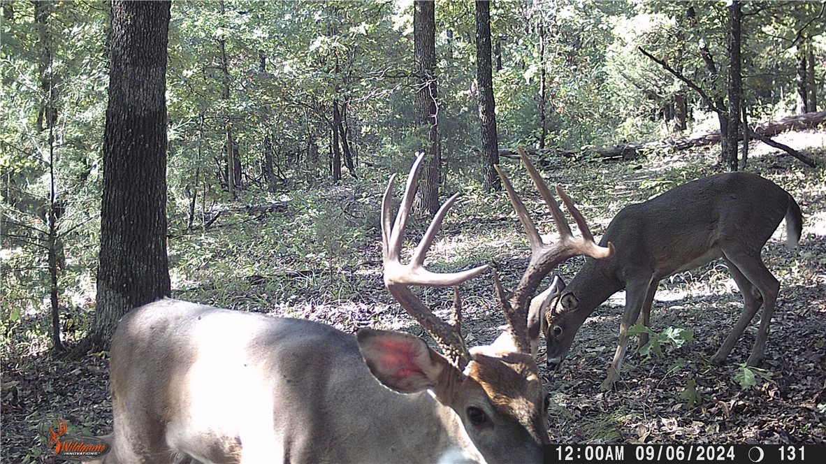 22-17-24 - Residential