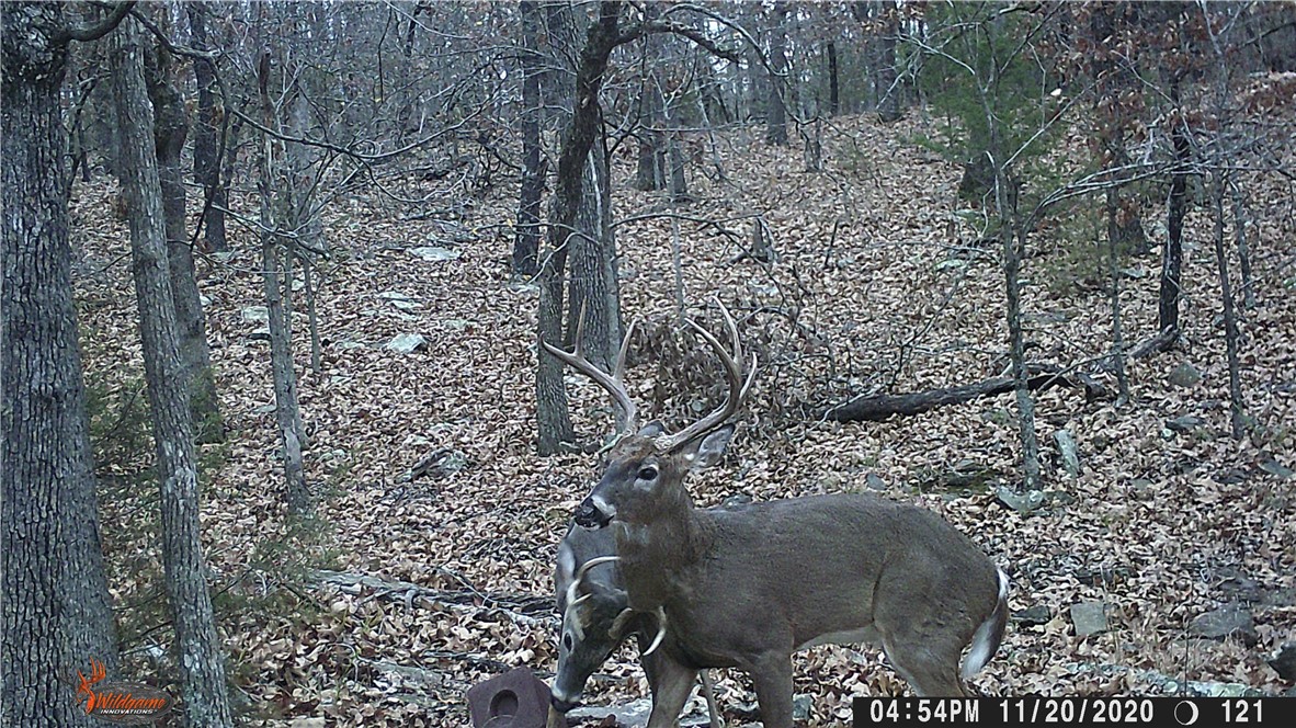 22-17-24 - Residential