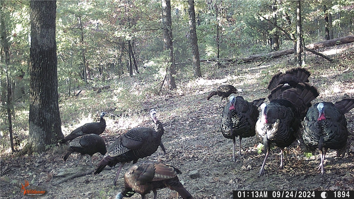 22-17-24 - Residential