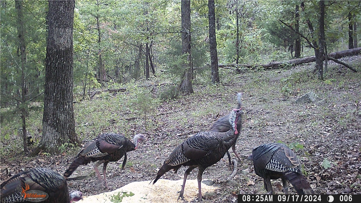 22-17-24 - Residential