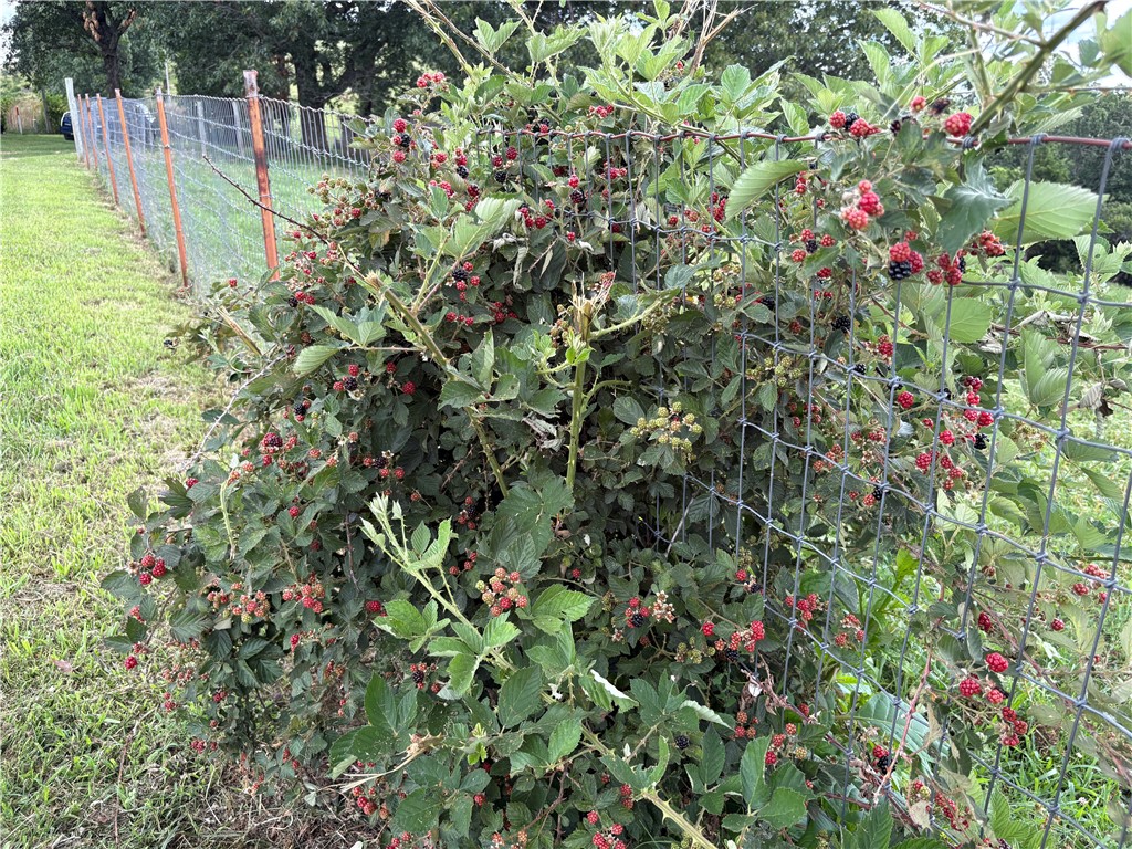 22-17-24 - Residential