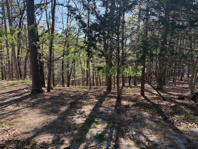 Riley & Armstrong - Residential