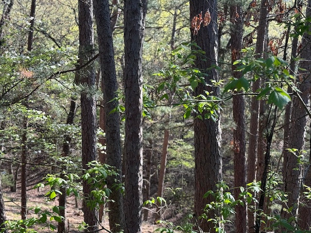 Riley & Armstrong - Residential