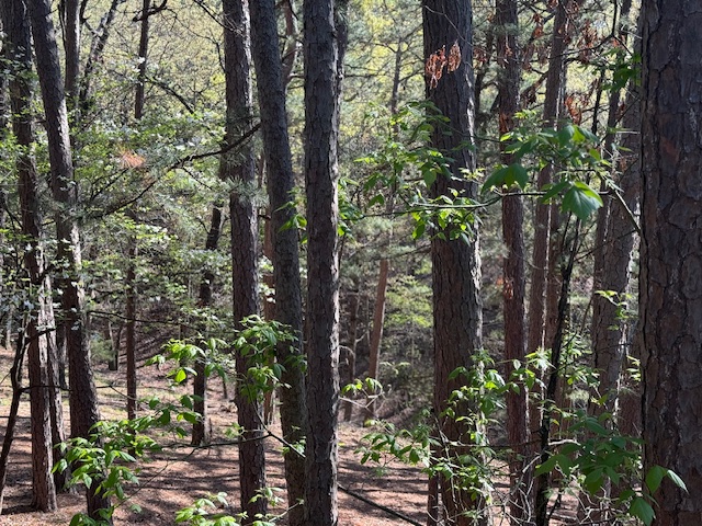 Riley & Armstrong - Residential