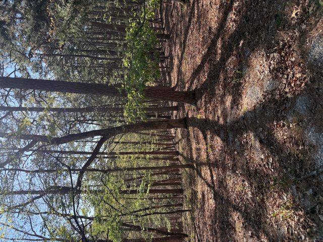 Riley & Armstrong - Residential