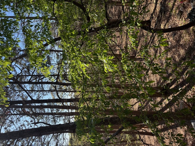 Riley & Armstrong - Residential