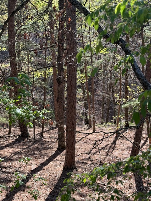 Riley & Armstrong - Residential