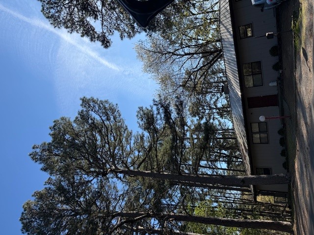 Riley & Armstrong - Residential