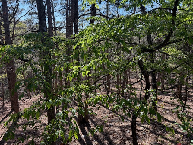 Riley & Armstrong - Residential