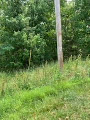 Moderate sloping lot with nice large shade trees is needing a new owners. In wonderful established neighborhood. Close to all amenities. Your dream home begins and ends here.