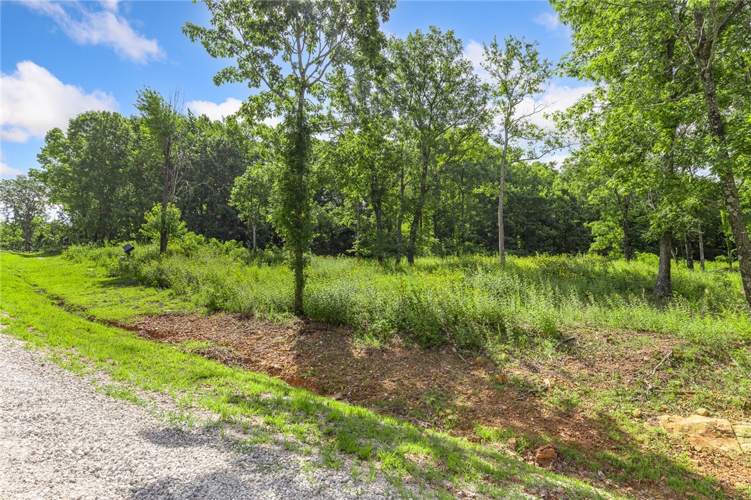 Round Mountain Estates - Land