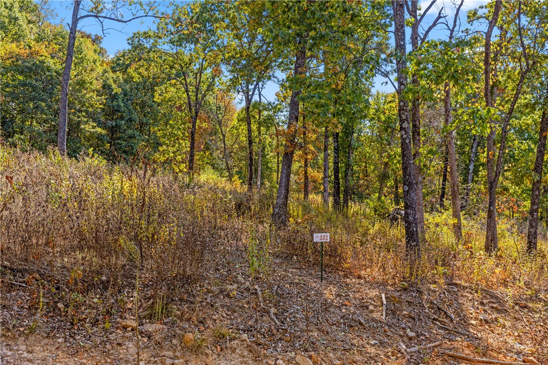 Welcome to Lot 101 (0.50 m/l ac) on Restore Ridge in Round Mountain Estates. This lot has striking views to the northwest, is mostly cleared and is one of the smallest lots available if your dream is to build something smaller. RME is a new, master planned, exclusive subdivision located 10 minutes west of Harrison, AR. The following utilities are already on site making the building process much easier for you; natural gas, fiber optic internet, electric, public water, and sewer. Interested in your family seeing the star lights instead of those city lights? RME is what you've been searching for! RME features a 350 +/- acre common area for its residents that includes a stocked fishing pond, Kissing Rock trail, natural springs to explore, Baby Canyon trail, incredible bluff lines to climb, and views for hundreds of miles that will not only take your breath away but will forever be etched in your memory! Neighborhood amenities coming soon.
