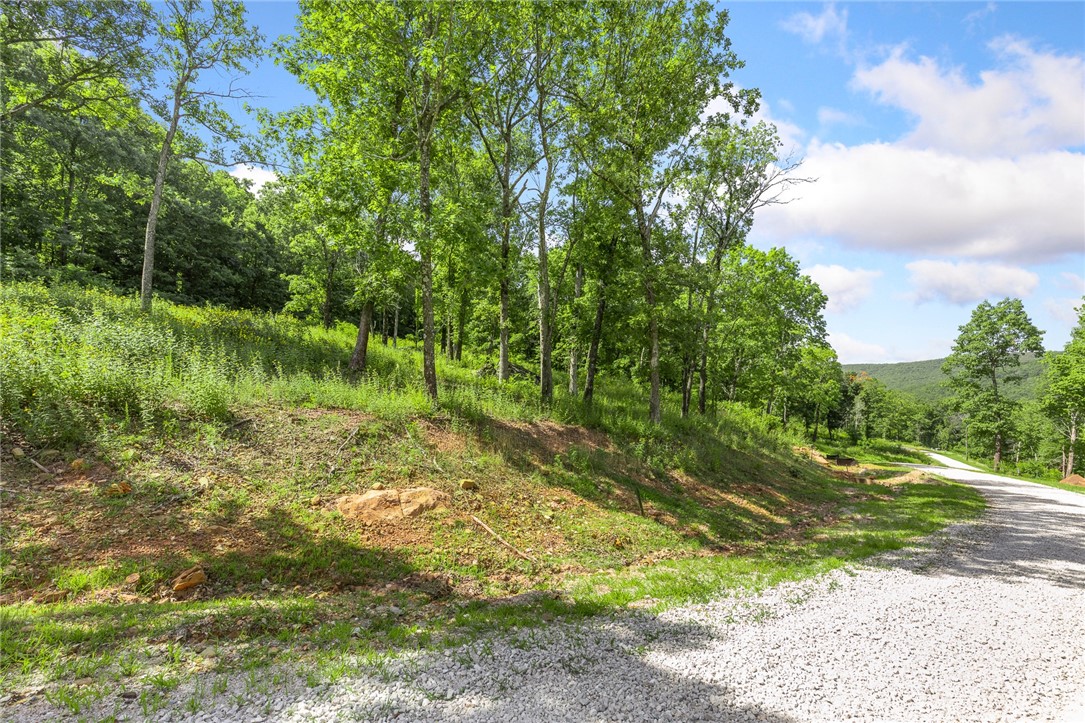 Round Mountain Estates - Land