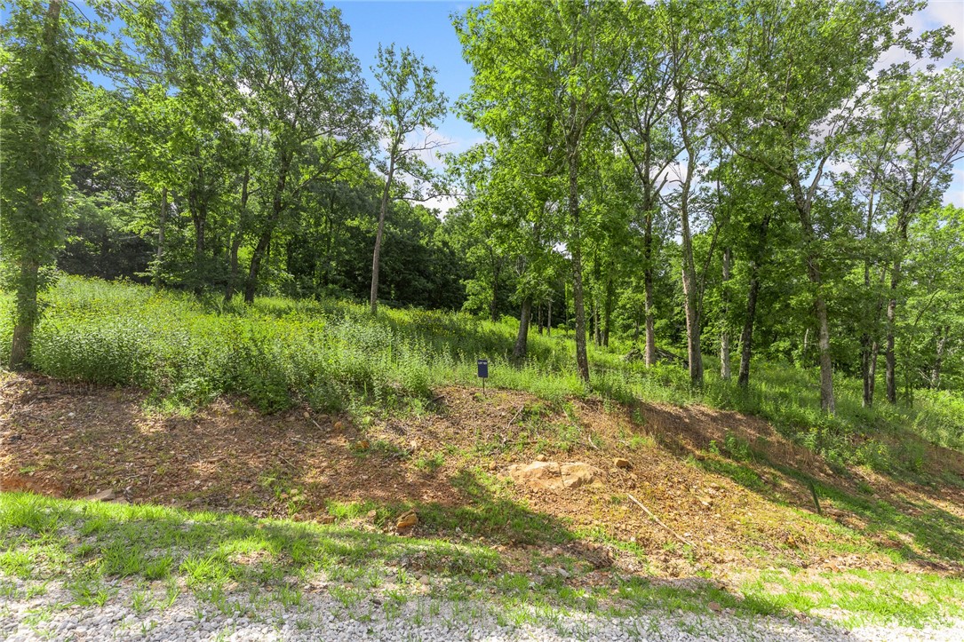 Round Mountain Estates - Land