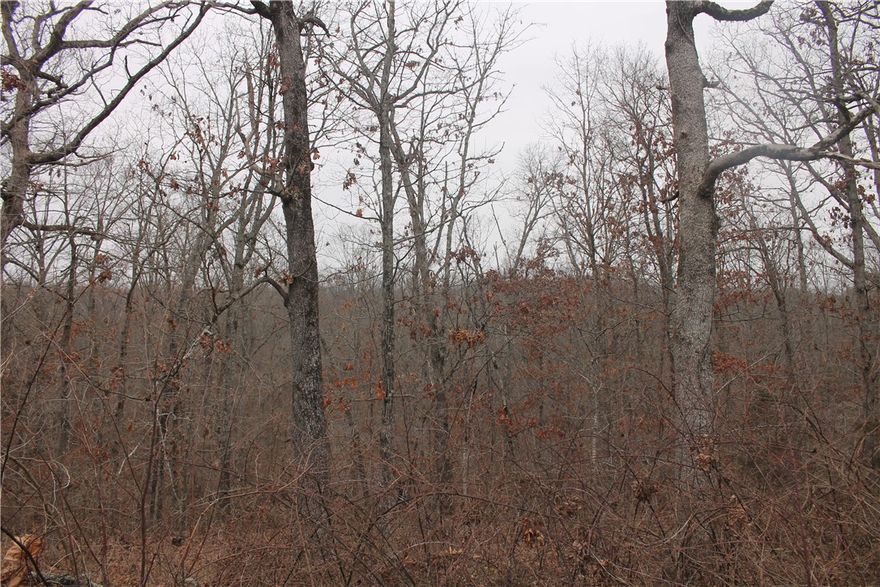 This charming lot in Bella Vista is slightly loped down, offering a unique elevation that enhances the overall appeal and provides a picturesque view of the surrounding landscape. The zoning permits residential construction, making it an ideal canvas for your dream home. With its gentle slope, the property allows for creative architectural designs, including potential walk-out basements or multi-level plans. Surrounded by lush greenery, this lot combines privacy with accessibility to local amenities, parks, and schools, ensuring a perfect setting for family living. Embrace the opportunity to build a home that captures the essence of both comfort and nature.