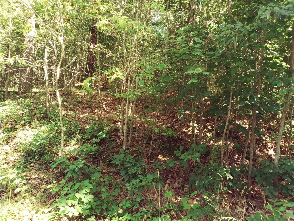 Quiet & secluded flat lot close to Shopping, restaurants, Country Club, golf course & Lake Windsor.
Zennor Cir is partially paved. this lot is approx. 100 ft. or less from pavement. Check with City. I believe city will pave w/in 150 ft? AGAIN, check with city.