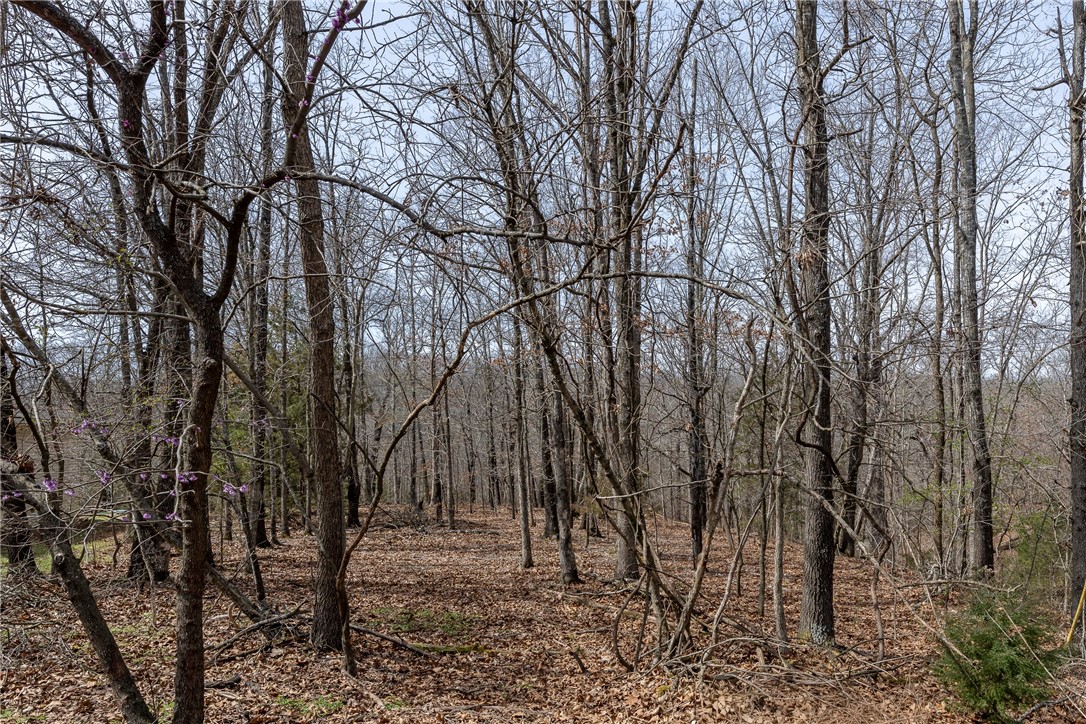 Orleton Sub Bvv - Land