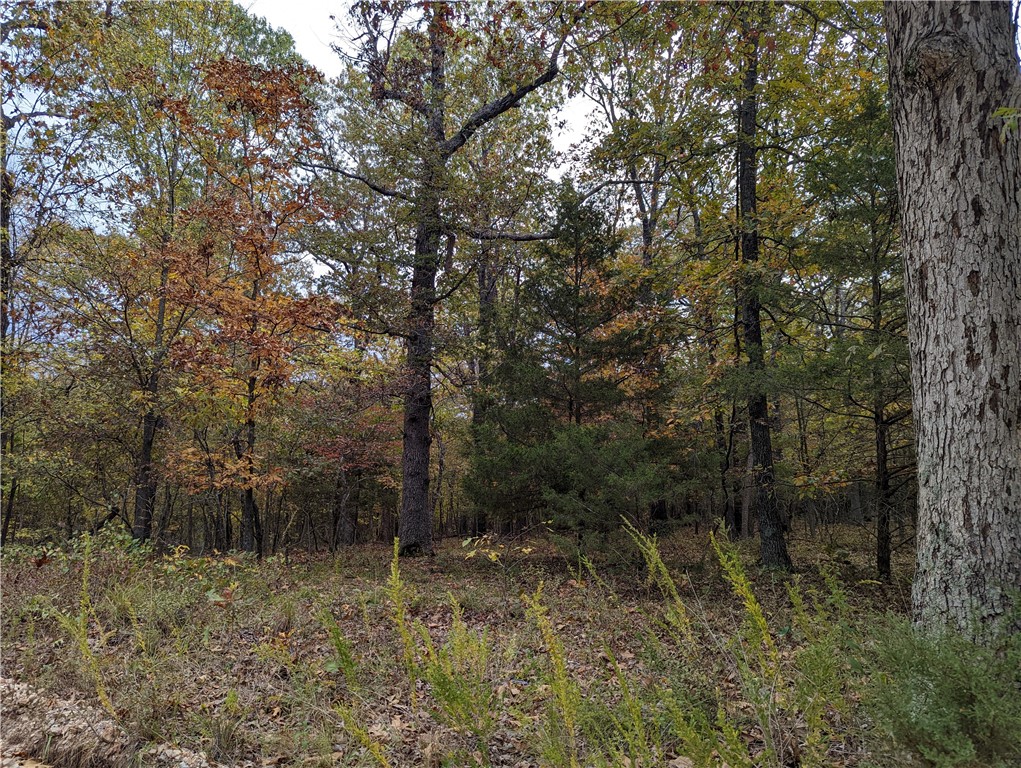 This property would make a great place to build your dream home! Only a short 35 minute drive from downtown rogers. Located just minutes from the lake with an abundance of wildlife on the property. No appointment needed. Sign on the property. Has a perk test in documents