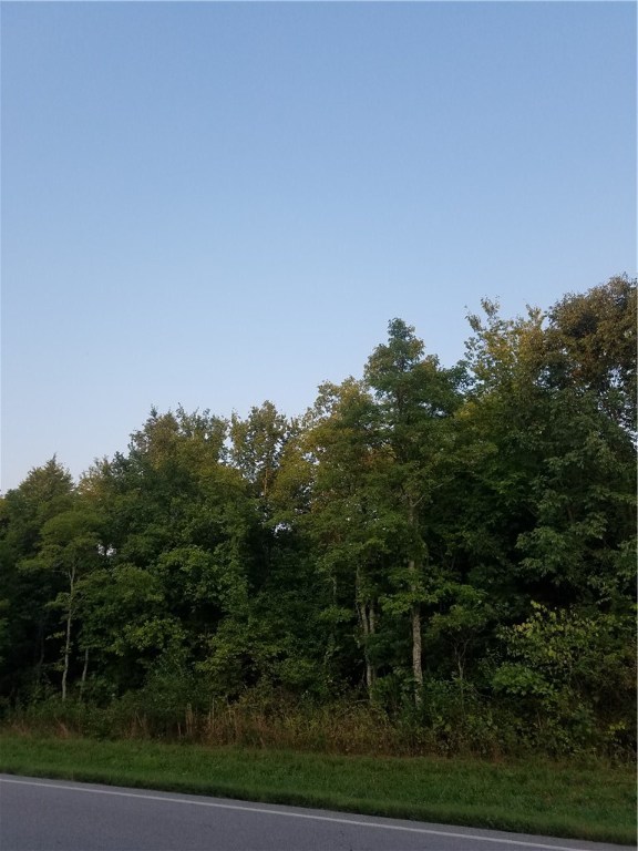 Nice buildable lot between two nice homes. Great area near Dogwood golf course. Wooded beautiful lot. Near Back 40 trails