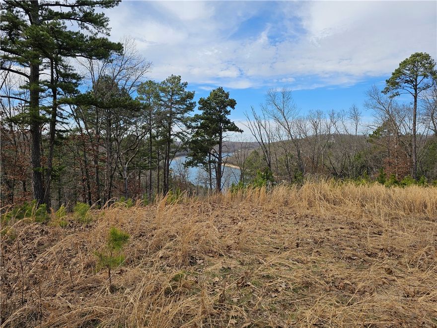 This prime 9.68-acre hilltop property at  349 CR 154 offers a rare combination of elevation, lake access, and ready-to-use utilities.
This isn't just a wooded lot—it’s a private summit overlooking Beaver Lake with panoramic, year-round lake views. The terrain features striking rock formations and bluffs but uniquely offers plenty of flat areas ideal for immediate build sites. 
A standout feature of this property is the incredible water security and recreational access. You have the best of both worlds with an individual private well on-site, plus access to a separate community well. For those who love the water, this land also includes access to a community swimming dock, allowing you to fully embrace the lake lifestyle from day one. With electric on-site, this property is prepared for your dream retreat or forever home