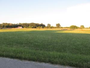 Nice building site to build your dream home on.