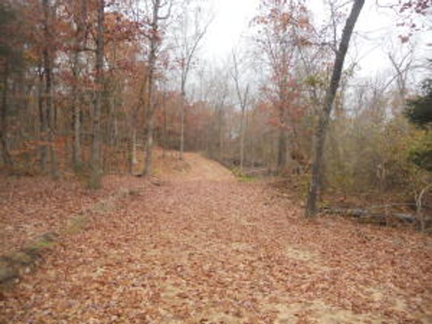Great wooded building site with views to the east, road has already been built onto the property.  Rural water and electric available, located in Newton County with a short drive to the Buffalo River and into Harrison.  Property could possibly be split, call Listing Agent for more details.