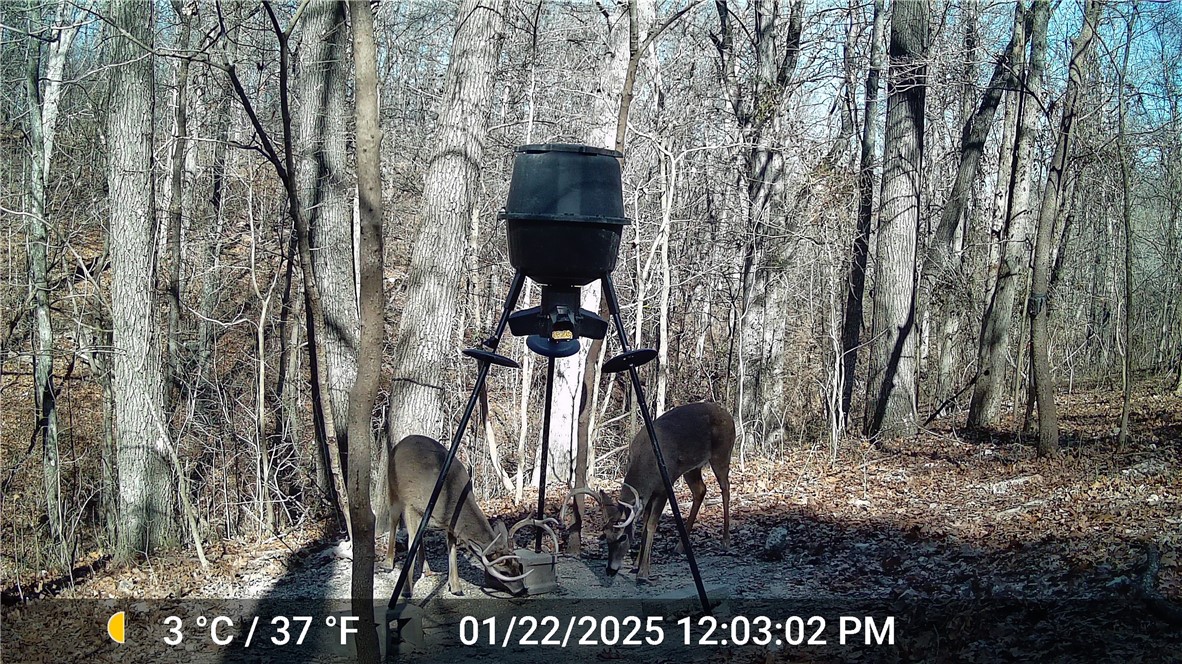 21-18-29-RURAL - Residential