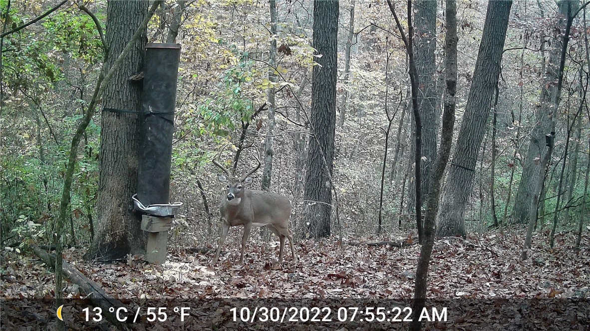 21-18-29-RURAL - Residential