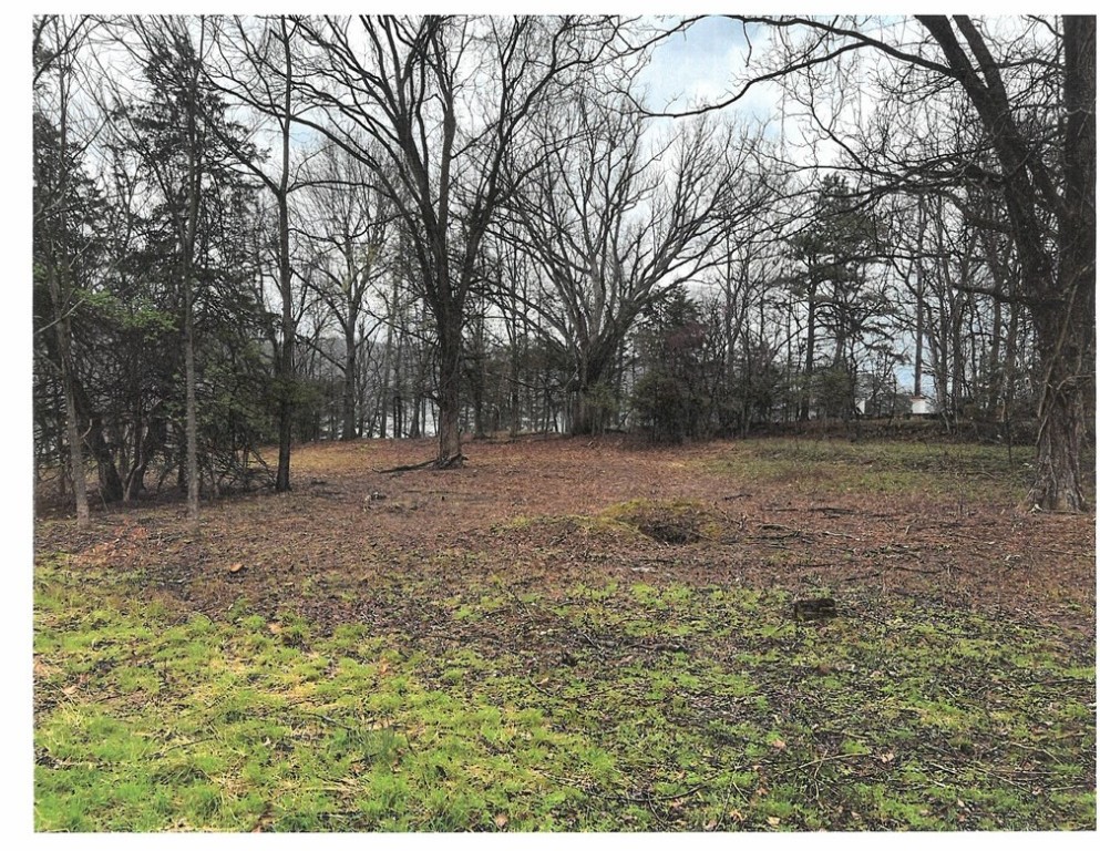 Build your dream home! this amazing lot sits off Beaver Lake with an amazing view and just 5 minutes from War Eagle Marina. this lot is in a great location on a quiet, dead-end street. Be on the lake and only 15 minutes from town!