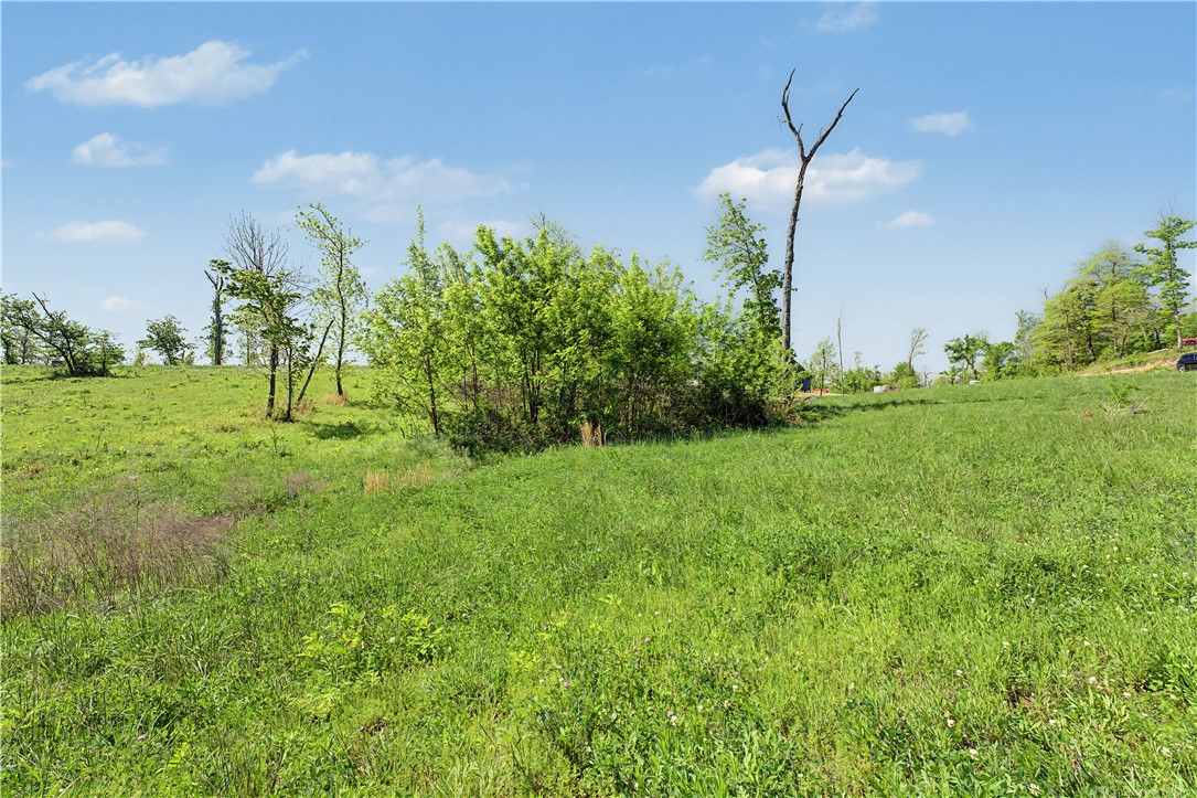 Healing Springs Phase 2 - Land