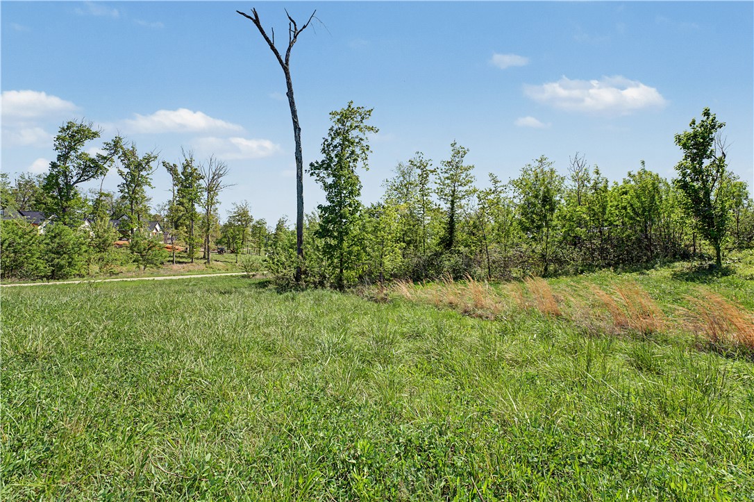 Healing Springs Phase 2 - Land