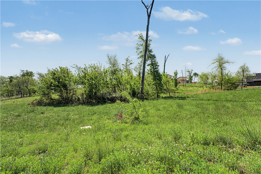 Healing Springs Phase 2 - Land