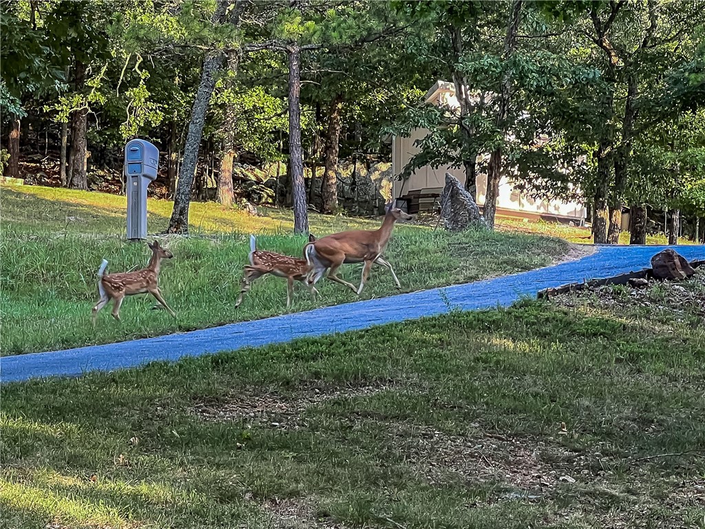 Bowmans Landing Rurban - Residential