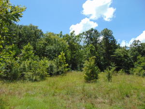 40 acres mostly wooded with single wide that could use some TLC and currently rented. Lots of wildlife and a pond. Would make an ideal secluded building site
