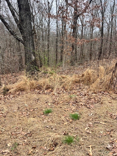 Dumfries Sub Bvv - Land