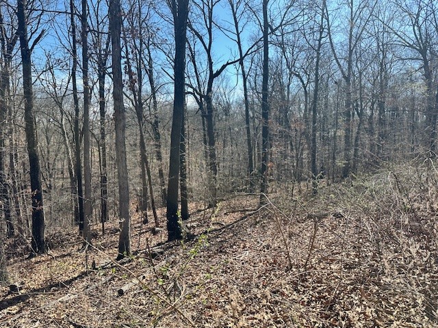 Dumfries Sub Bvv - Land