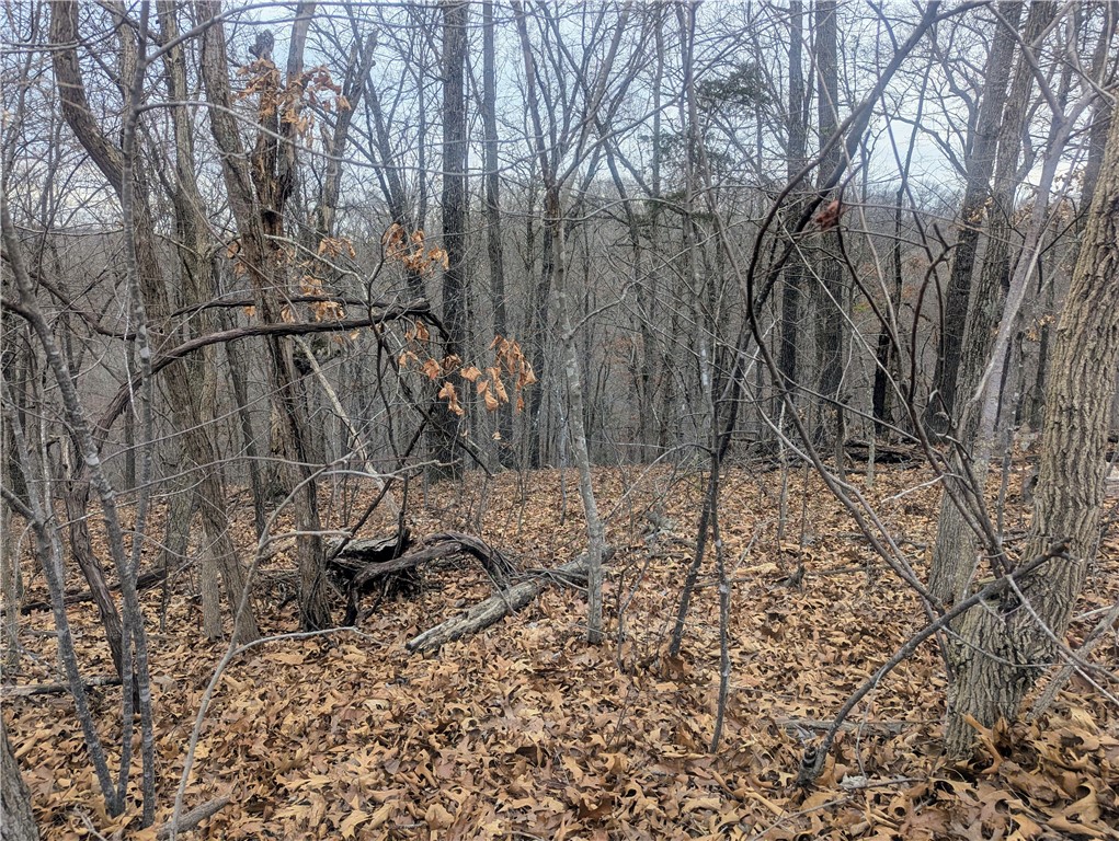 Portsmouth Sub Bvv - Land