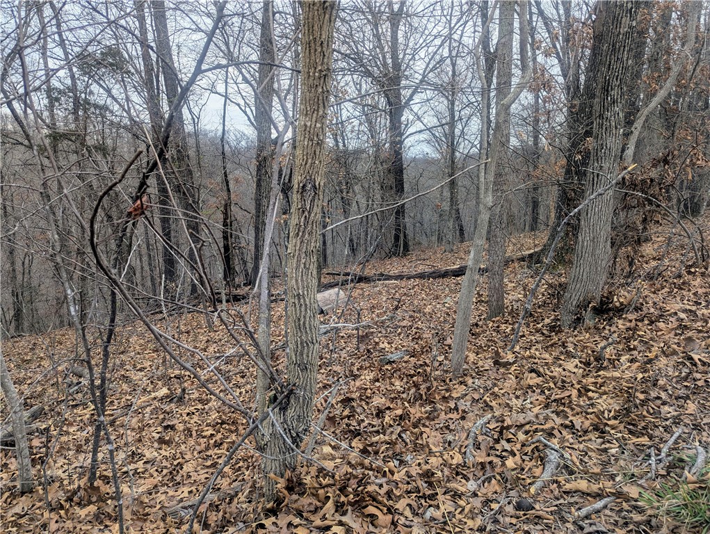 Portsmouth Sub Bvv - Land