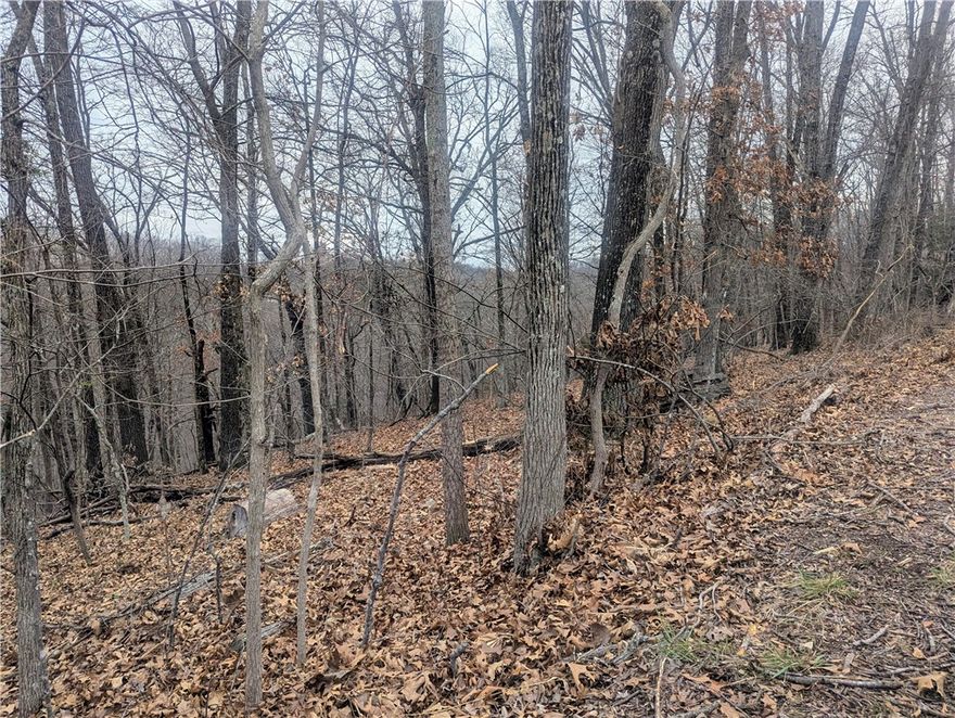 Enjoy beautiful views from the ridge top that encompasses Lake Windsor, Bella Vista's second largest lake.  Down the road is the Pontoon Boat Park with access to Tunnel Vision. Less than three miles to the new Oz Bike Park and bike lift. Build your dream home or a vacation retreat that you will never want to leave.