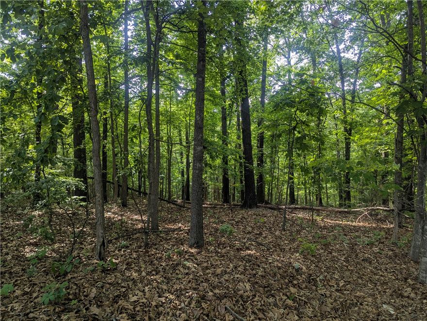 Come see this ideal lot on a picturesque tree lined street.  Down the road is the Pontoon Boat Park with access to Tunnel Vision. Less than three miles to the new Oz Bike Park and bike lift. Build your dream home or a vacation retreat that you will never want to leave.