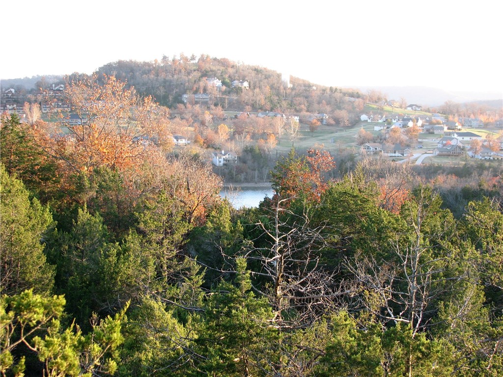 Come see this amazing piece of property!, this amazing 4.51 ac lot has maximum road frontage and 280 Degree view of Table Rock Lake, Holiday Island and surrounding bluffs. It has wonderful Cedars and Rock formations. This property has part of a private cul-de-sac and is semi-cleared for a building site. The back property line is the Mark Twain National Forest so there is complete privacy with no one able to build behind you.