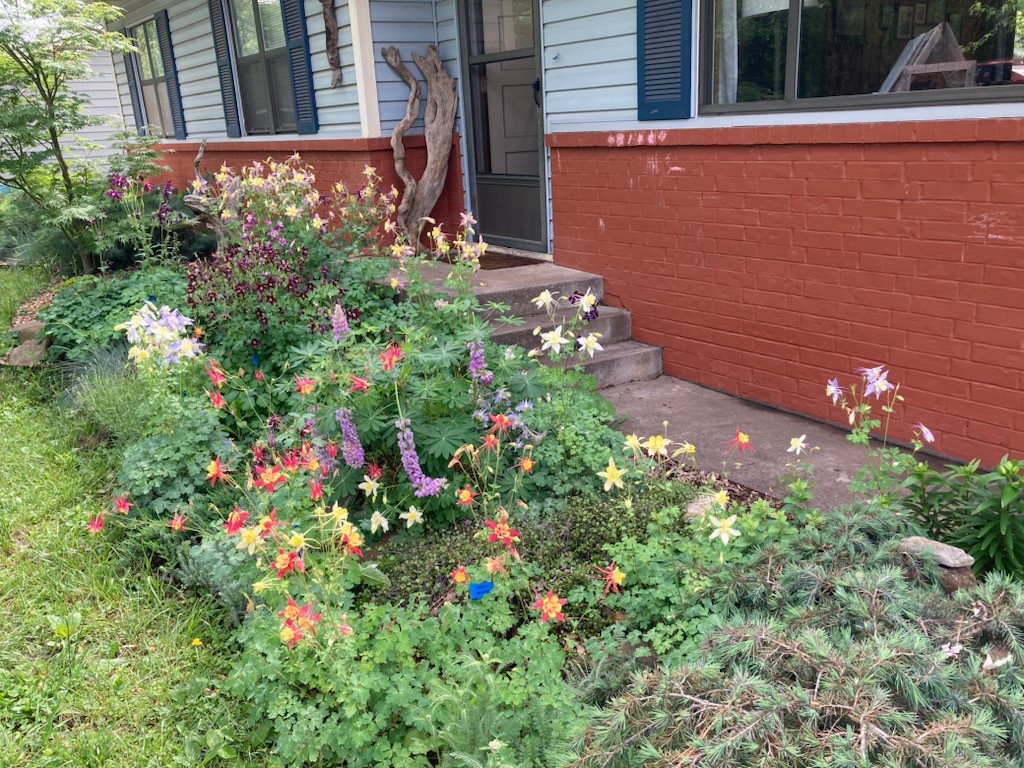 Meadowlark Add - Residential