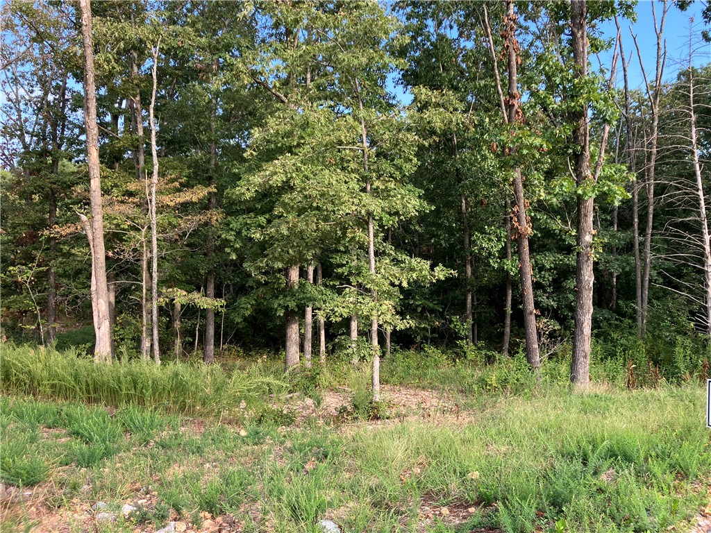 This prime lot in the new TRAIL RIDGE subdivision offers the perfect blend of convenience and nature. Located within a highly rated Bentonville school district, it features buried utilities, sewer access, and high-speed internet. Enjoy the serene, wooded surroundings and easy access to local trails including Tunnel Vision and Little Sugar. Plus, you're close to essential amenities, the Bella Vista Country Club/Golf Course, and Scottsdale Golf Course. Build your dream home with the neighborhood developer or bring your builder. The minimum build size is 1950 sf. This lot is adjacent to the Tunnel Vision trail. Don’t miss out on this unique opportunity in vibrant, growing Bella Vista, AR.